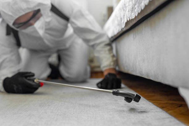 Professional Bed Bug Control technician working in Morrisville, VT