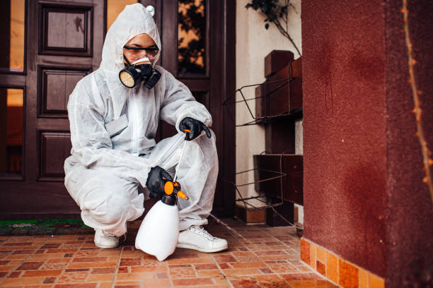 Reliable Bed Bug Control contractor in Morrisville, VT by Nex Pest Control